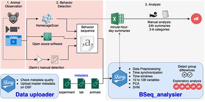 Creating Detailed Metadata for an R Shiny Analysis of Rodent Behavior Sequence Data Detected Along One Light-Dark Cycle